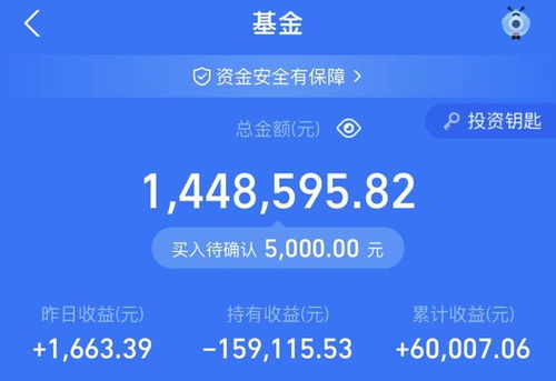 未來會(huì)大漲的基金