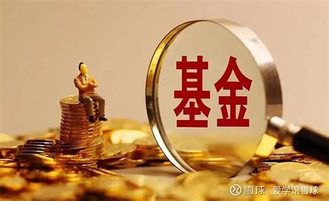 股票基金應(yīng)有多少投資于股票