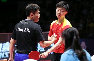 國(guó)乒名宿指出林高遠(yuǎn)最大問(wèn)題 稱贊張本智和有靈氣,意志力很頑強(qiáng)