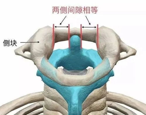 德祥地產(chǎn)盤中異動早盤股價(jià)大跌%報(bào)港元