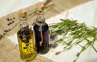 駕馭頑皮熊孩子，如何妥善處理他們對滅火器的誤操作