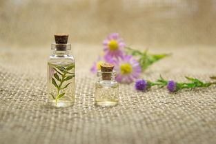 香奈兒的秘密花園，探索奢華香水世界的線上殿堂