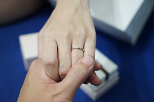 揭秘！全面掌握——結(jié)婚證查詢網(wǎng)，您的婚姻生活守護(hù)者