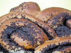 探秘金太子牛排，加盟創(chuàng)業(yè)的美味指南