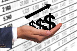 揭秘房貸收入證明，一份關(guān)鍵理財(cái)文件的全面指南